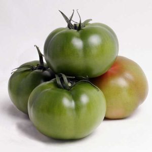 POMODORO GUIOMAR NR.1000 SEMI