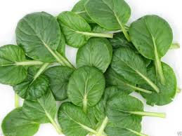 CAVOLO TATSOI ( BRASSICA RAPA VAR. ROSULARIS) 1 BUSTA EURO 1