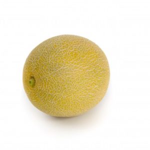 MELONE GALIA NR.30 SEMI