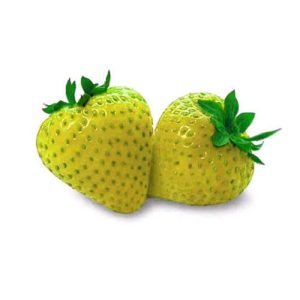 FRAGOLA GIALLA NR.100 SEMI