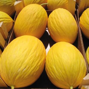 MELONE TAXI NR.1000 SEMI
